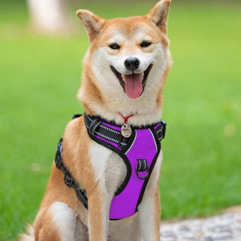 PoyPet No Pull Dog Harness, Reflective Vest Harness